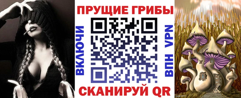 Галлюциногенные грибы MAGIC MUSHROOMS Моздок